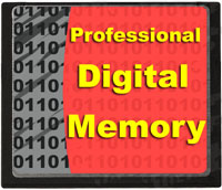 Digital Memory