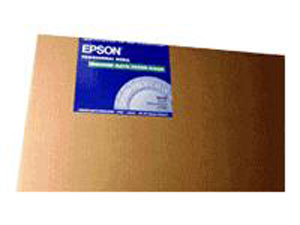 Epson Professional Enchanced Matte Posterboard (1.3 mm) 24in x 30in 10sh